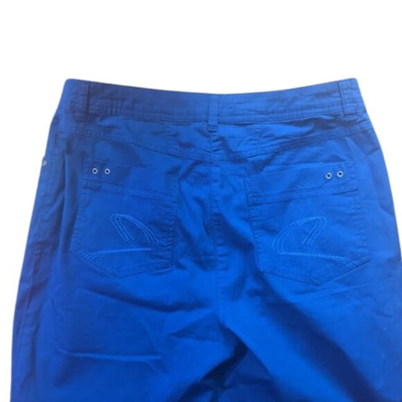 --- Blue Bermuda Shorts - Picture 2 of 4